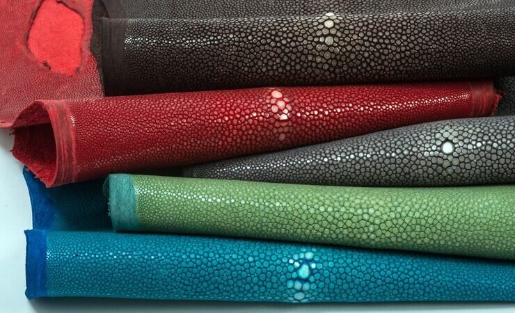 Ostrich Leather: Why This Fancy Leather Is So Special and Loved