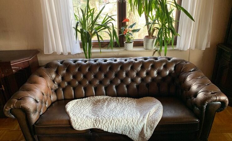 Contemporary Leather Settees: A Cozy and Stylish Choice for Any Home